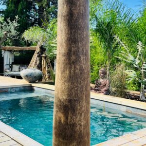 Pot de cocotier lisse naturel ori - Polos 2