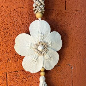 EMBRASE EN COQUILLAGES – KEEMASAN