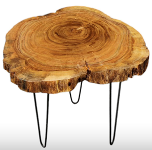 Table basse en rondelle de tronc d'arbre - RIO